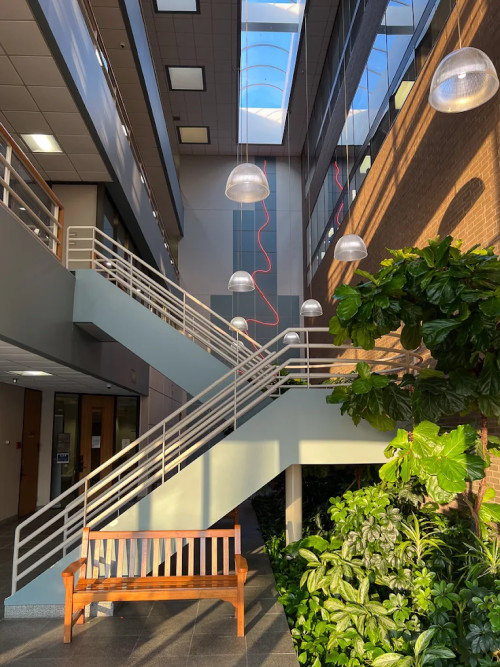 Residential Premium Image