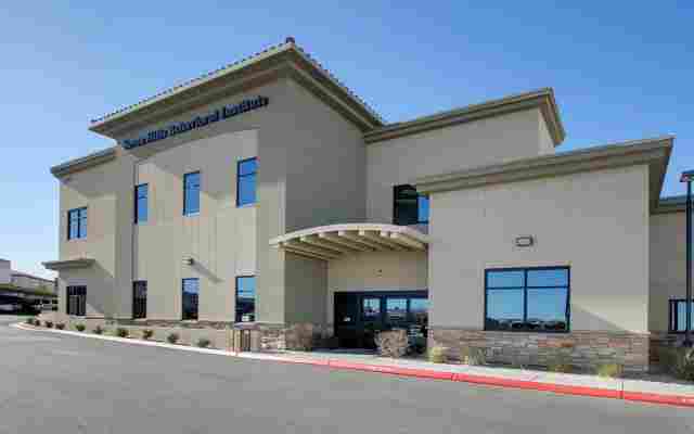 Seven Hills Behavioral Health Hospital