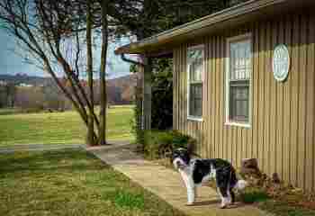 Brooks Healing Center photo 1 of 5