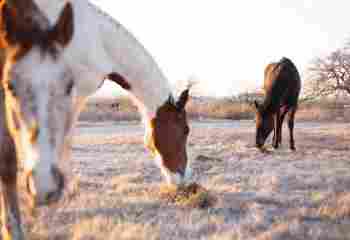 Seven Arrows Recovery - Photo 2