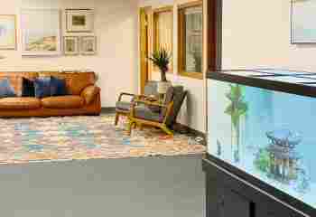 Safe Harbor Behavioral Health - Photo 2