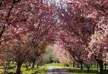 The Willows at Red Oak Recovery - Photo 4