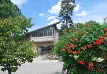 Tellurian - Photo 4