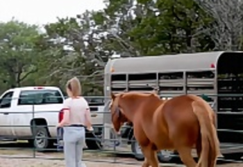 Starlite Recovery Center photo 3 of 5