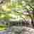 Coastal Oaks Recovery