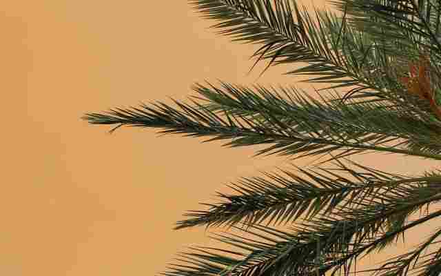 Fountain Valley Depression Treatment