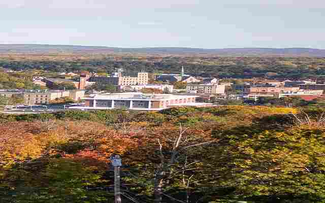 Bangor Older Adults Treatment
