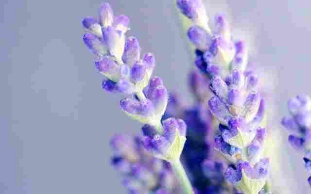 Joliet Outpatient Treatment