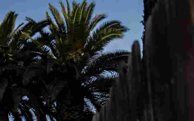 Sherman Oaks Holistic Treatment