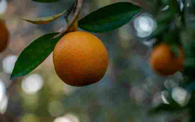 Claremont Depression Treatment