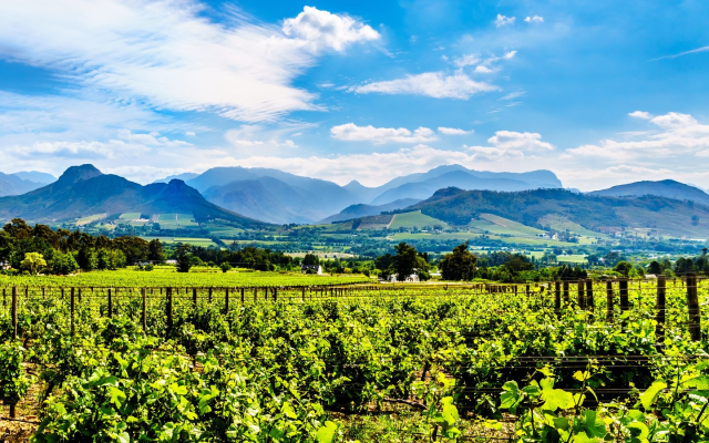 Western Cape Depression Treatment