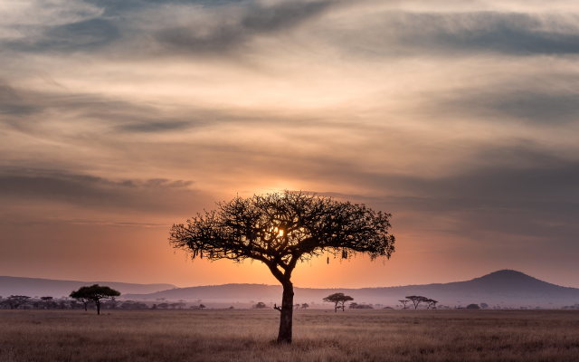 Africa Depression Treatment