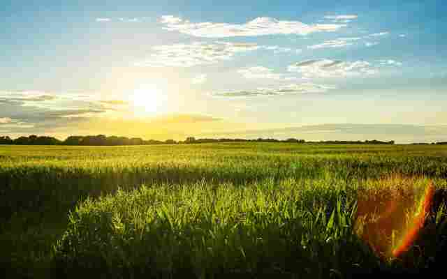 Iowa Art Therapy Treatment