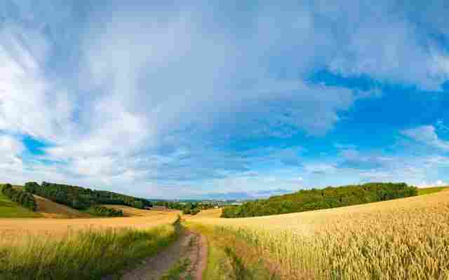 Ada Medicare Treatment