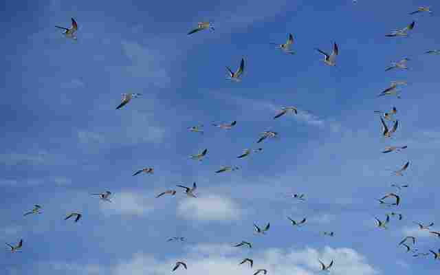 Mobile Medicaid Treatment