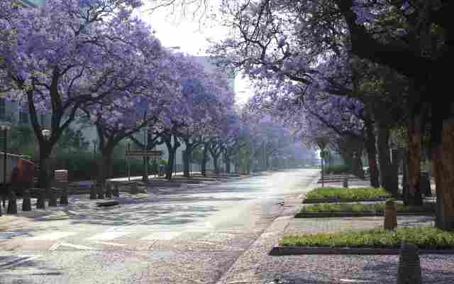 Pretoria Depression Treatment