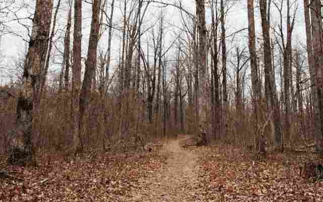 Fayetteville Personality Disorders Treatment