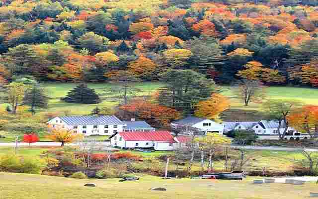 Abington Depression Treatment