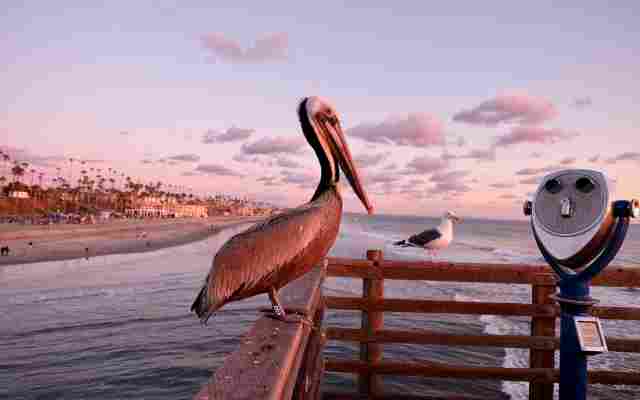 Oceanside Depression Treatment