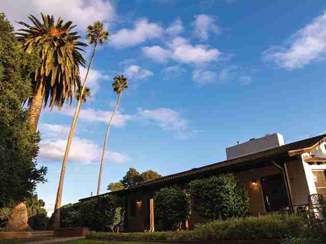 DUPLICATE Elevate Addiction Services - Seascape