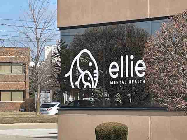 Ellie Mental Health Clinton Township