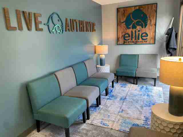 Ellie Mental Health - Grand Haven