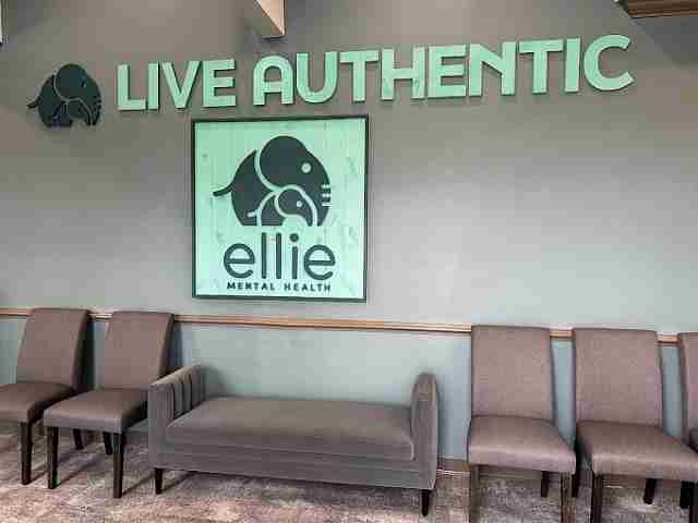 Ellie Mental Health - Wesley Chapel