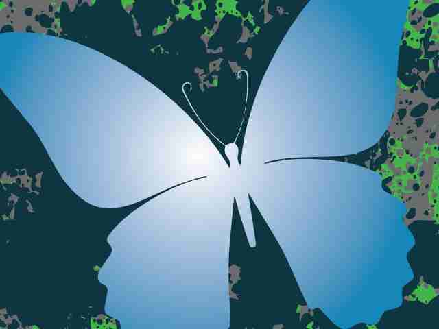 A Fresh Start - Oakley Womens House