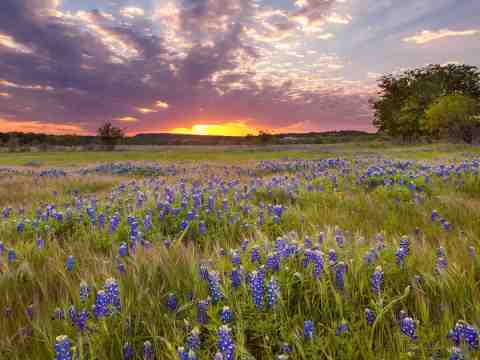 Abilene