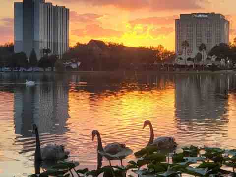 Lakeland