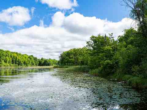 Halton Hills