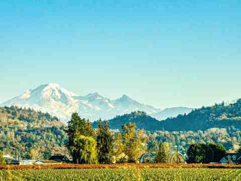 Abbotsford