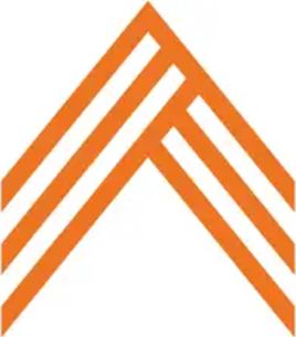 APN Connection Virtual Therapy logo
