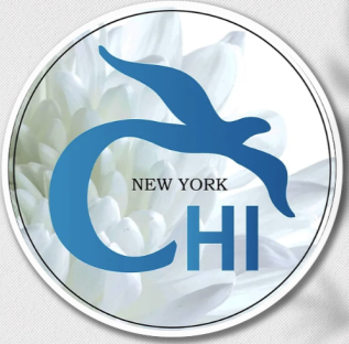 Carnegie Hill Institute logo