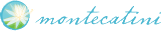 Montecatini logo