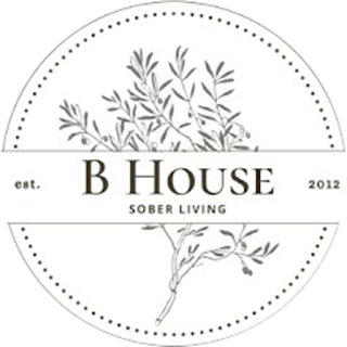 B Amazing logo