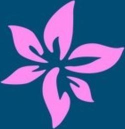 The Wellbeing & Recovery Collective logo
