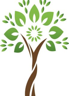 Southern Live Oak Wellness logo