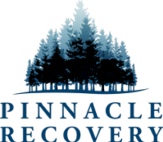 Pinnacle Recovery logo