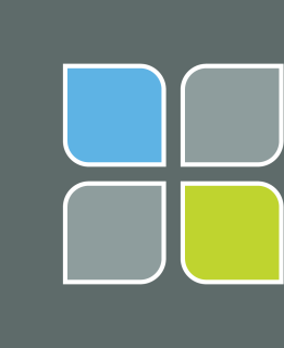 Chestnut Health Systems logo