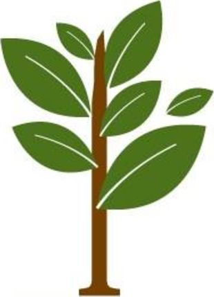 Envision Ohio logo
