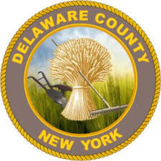 Delaware County Alcohol and Drug Abuse Services logo