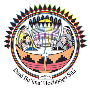 Navajo Nation Division of Behavioral and Mental Health Services Gallup logo