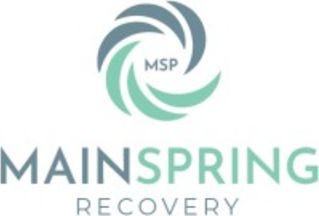 Mainspring Recovery - Triangle logo