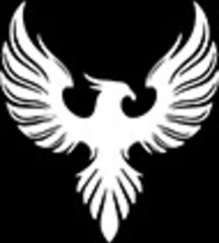 Rising Phoenix Wellness Services logo