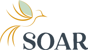 SOAR logo