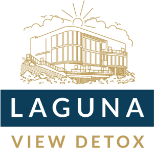 Laguna View Detox logo