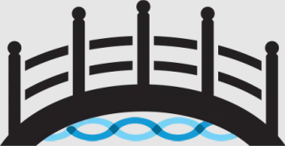The Bridge Boca Raton logo