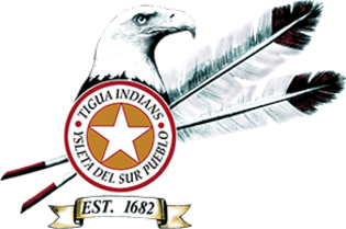 Ysleta Del Sur Pueblo Behavioral Health logo