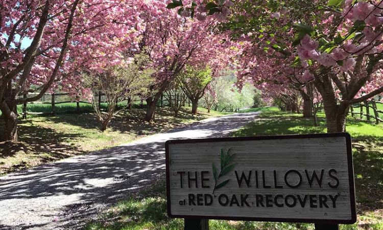 The Willows at Red Oak Recovery Pricing, Specializations, Info
